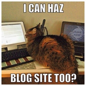 any one can blog, but what is a good quality gun blog?