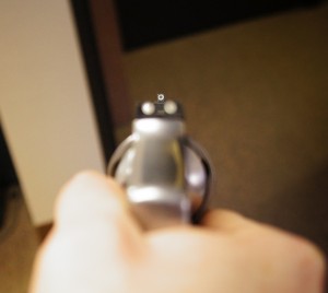 640 Pro front sight