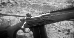 Ruger Gunsite Scout Rifle