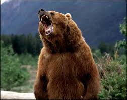 griz