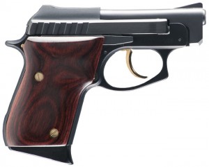 taurus 22 LR pistol